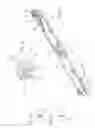 Fig. 09 - Pull-out guide for a furniture part which can be pulled out of a basic furniture structure