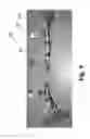 Fig. 09 - Trailer wiring over-current protection