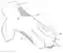 Fig. 01 - METHODS AND APPARATUS FOR LIGHTING EFFECTS IN A MOVING MEDIUM