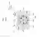Fig. 06 - SWITCHED RELUCTANCE MOTOR