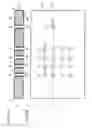 Fig. 10 - Probe guide plate and method for manufacturing the same