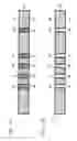 Fig. 12 - Probe guide plate and method for manufacturing the same