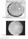 Fig. 08 - Antenna Fabrication with Three-Dimensional Contoured Substrates