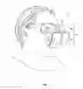 Fig. 02 - Head mounted display with non-pupil forming optical path