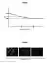 Fig. 07 - Head mounted display and display control method