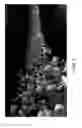 Fig. 02 - Generalized instancing for three-dimensional scene data