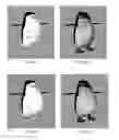 Fig. 02 - Using curves to emulate soft body deformation