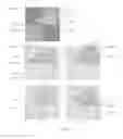 Fig. 09 - RENDERING IN COMPUTER GRAPHICS SYSTEMS