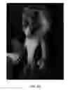 Fig. 05 - Look-based selection for rendering a computer-generated animation