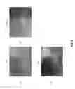 Fig. 09 - Re-interpolation with edge detection for extracting an aging pattern for AMOLED displays