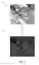 Fig. 06 - Global contrast correction
