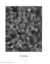 Fig. 07 - Digitally enhanced microscopy for multiplexed histology