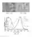 Fig. 22 - Digitally enhanced microscopy for multiplexed histology