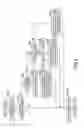 Fig. 06 - Digital microscope apparatus, method of searching for in-focus position thereof, and program