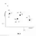 Fig. 07 - Apparatus and method for automated self-training of white balance by electronic cameras