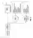 Fig. 03 - Enhanced experience from standard program content