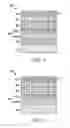 Fig. 02 - Display for mobile device with abrasion resistant siloxane coating