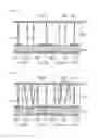 Fig. 07 - LIQUID CRYSTAL DRIVING METHOD AND LIQUID CRYSTAL DISPLAY DEVICE