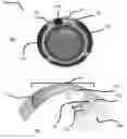 Fig. 01 - Ophthalmic devices incorporating photonic elements
