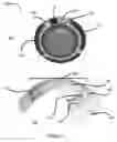 Fig. 02 - Ophthalmic devices incorporating photonic elements