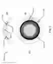Fig. 04 - Ophthalmic devices incorporating photonic elements