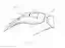 Fig. 02 - Electronic eyewear and display