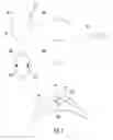 Fig. 08 - Thermoformed ophthalmic insert devices