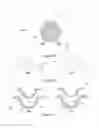 Fig. 05 - Ophthalmic devices with stabilization features