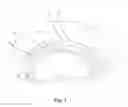 Fig. 02 - Hydrogel lens including a removable media insert