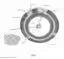 Fig. 07 - METHOD AND OPHTHALMIC DEVICE FOR PROVIDING VISUAL REPRESENTATIONS TO A USER