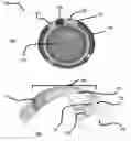 Fig. 01 - Methods and apparatus to form ophthalmic devices incorporating photonic elements