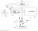 Fig. 01 - Apparatus and method for assessing effects of drugs by recording ocular parameters