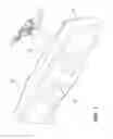 Fig. 02 - Display mirror assembly