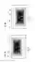 Fig. 07 - HEAD-UP DISPLAY DEVICE
