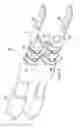 Fig. 03 - Information handling system housing lid with synchronized motion