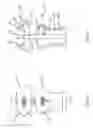 Fig. 03 - LIGHT APPARATUS WITH INDENTATION