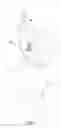 Fig. 02 - NIGHT LIGHT