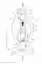 Fig. 01 - Liquid motion lamp holder improvement