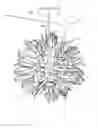 Fig. 01 - Star lighting fixture