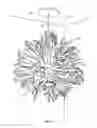Fig. 02 - Star lighting fixture