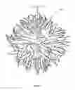 Fig. 09 - Star lighting fixture