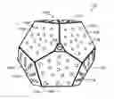 Fig. 01 - Dodecahedronally-shaped illumination device with orientation detector