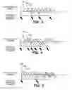 Fig. 04 - ELECTROMAGNETIC INTERFERENCE (EMI) REDUCTION IN INTERLEAVED POWER CONVERTER
