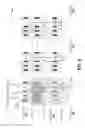 Fig. 07 - Programming two-terminal memory cells with reduced program current