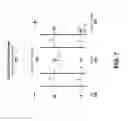 Fig. 08 - Two-terminal memory with intrinsic rectifying characteristic