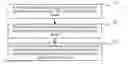 Fig. 01 - Method for sending downlink data, method for receiving downlink data, base station, and user terminal