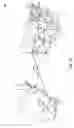 Fig. 04 - Supporting arbitrary routing criteria in software defined networks