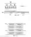 Fig. 08 - Transmission of sounding reference signals for adaptively configured TDD communication systems