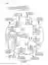 Fig. 02 - Communications methods and apparatus that facilitate discovery of small coverage area base stations