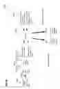 Fig. 46 - Radio communication device and method for operating a radio communication device